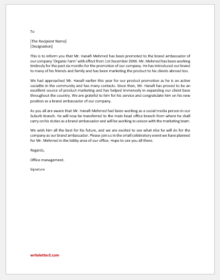 Promotion and Transfer Announcement Letter of Employee