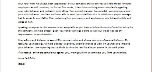 Warning letter for unprofessional behavior