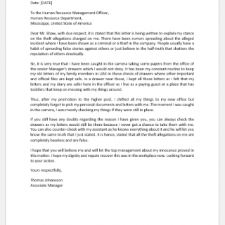 Grievance Letters to Boss for Theft Allegation