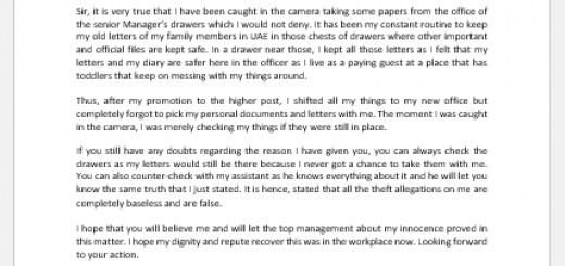 Grievance Letters to Boss for Theft Allegation